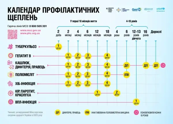 Профілактичні щеплення проти ВПЛ: оновлення календаря щеплень у 2026 році 4