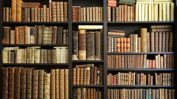 Кременчуцька бібліотекарка радить три книги для читання на вихідних